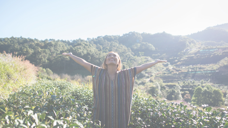 傳承烏龍茶的美好