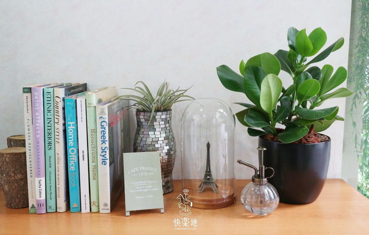 清新淨化 I 書帶木  GP190181