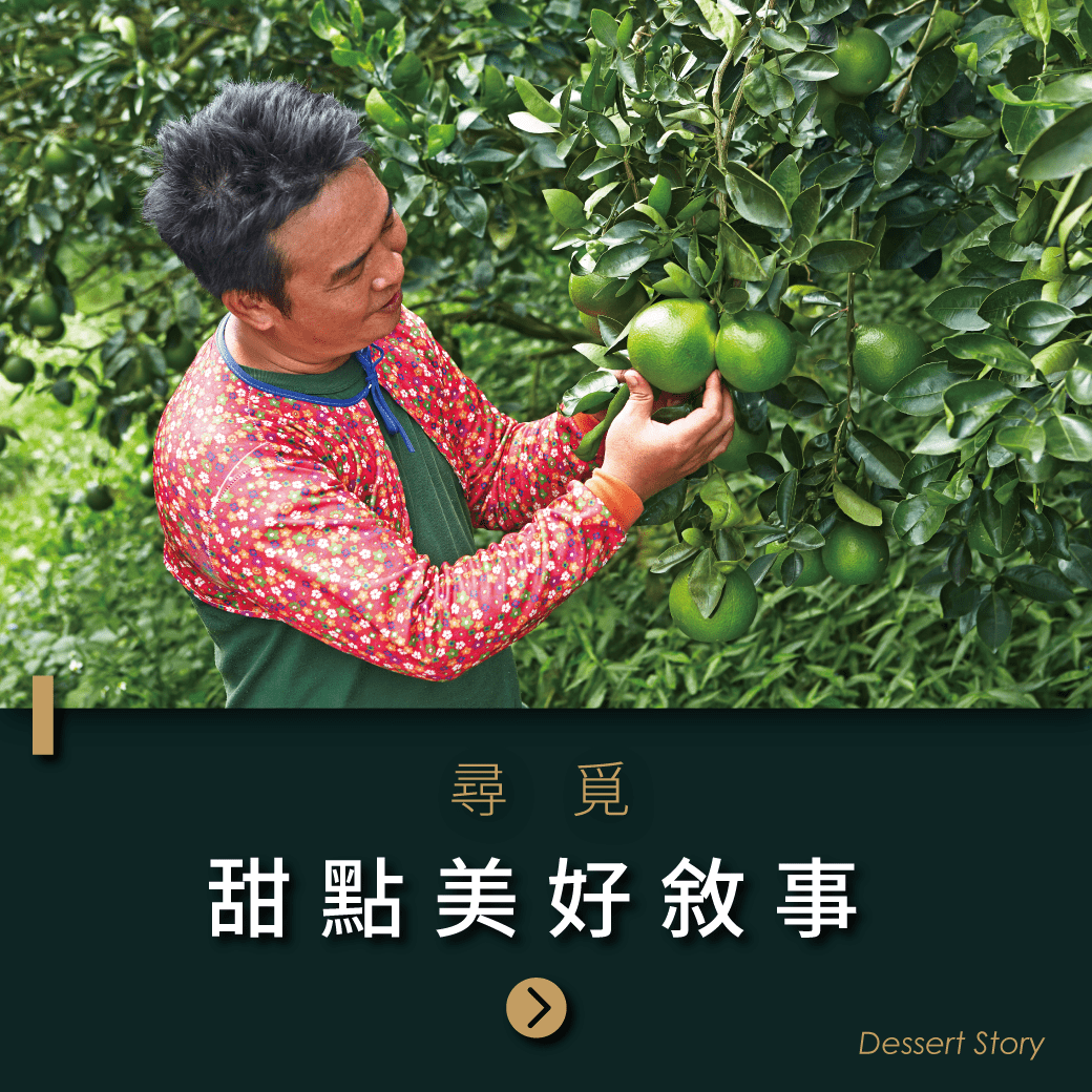 部落文,起士公爵,起司公爵