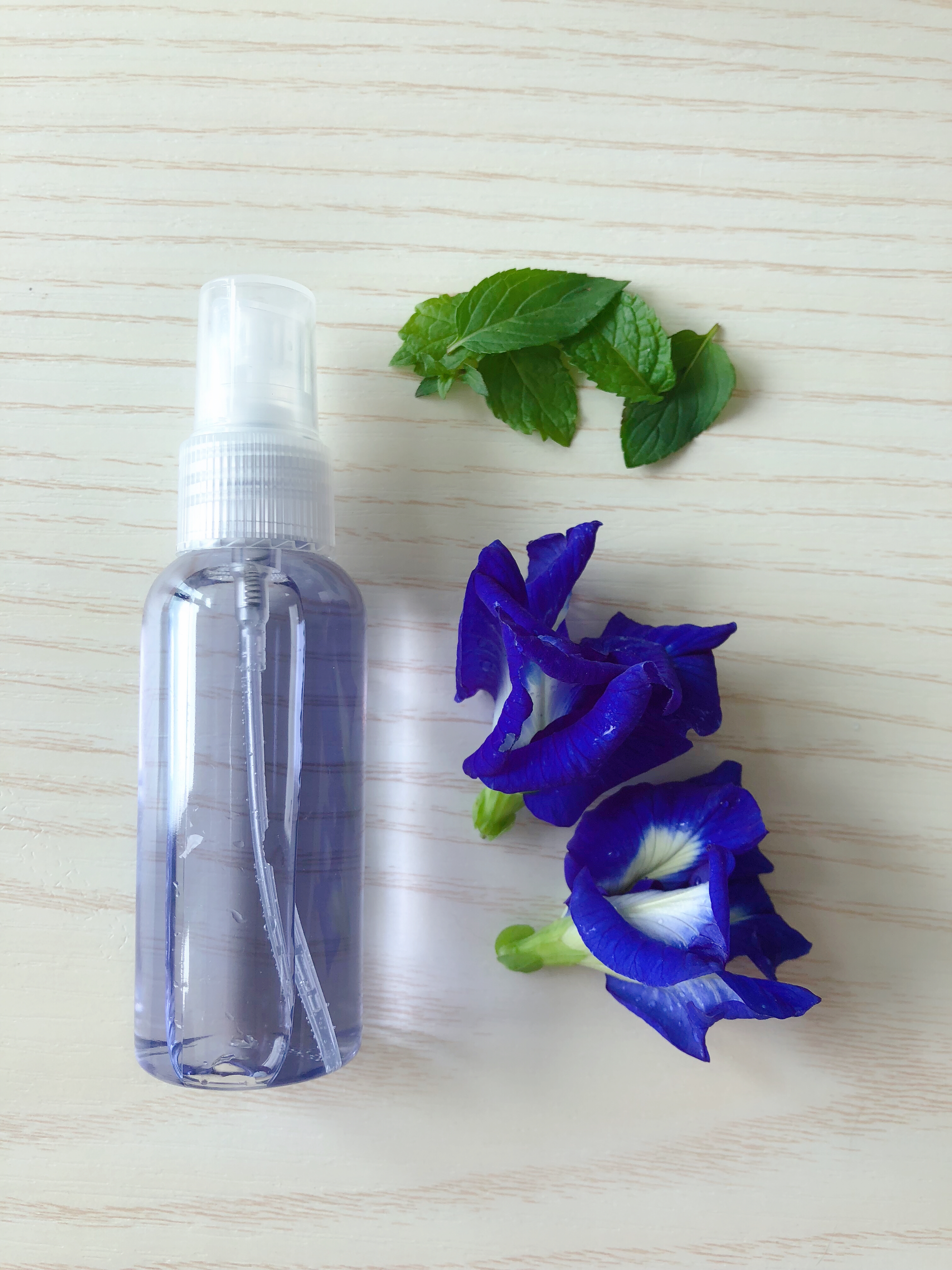 Blue Butterfly Summer Edition