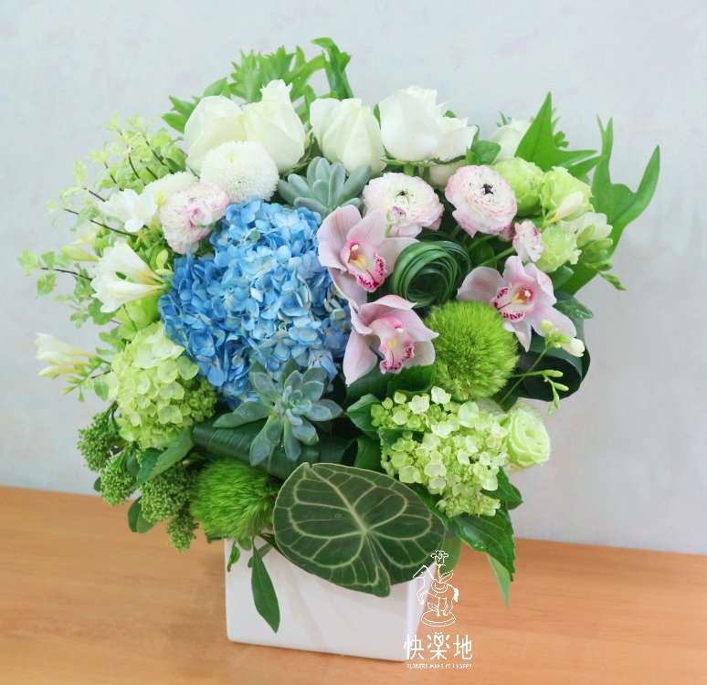 晴朗日好 I 盆花  AF190204