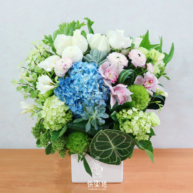 晴朗日好 I 盆花  AF190204