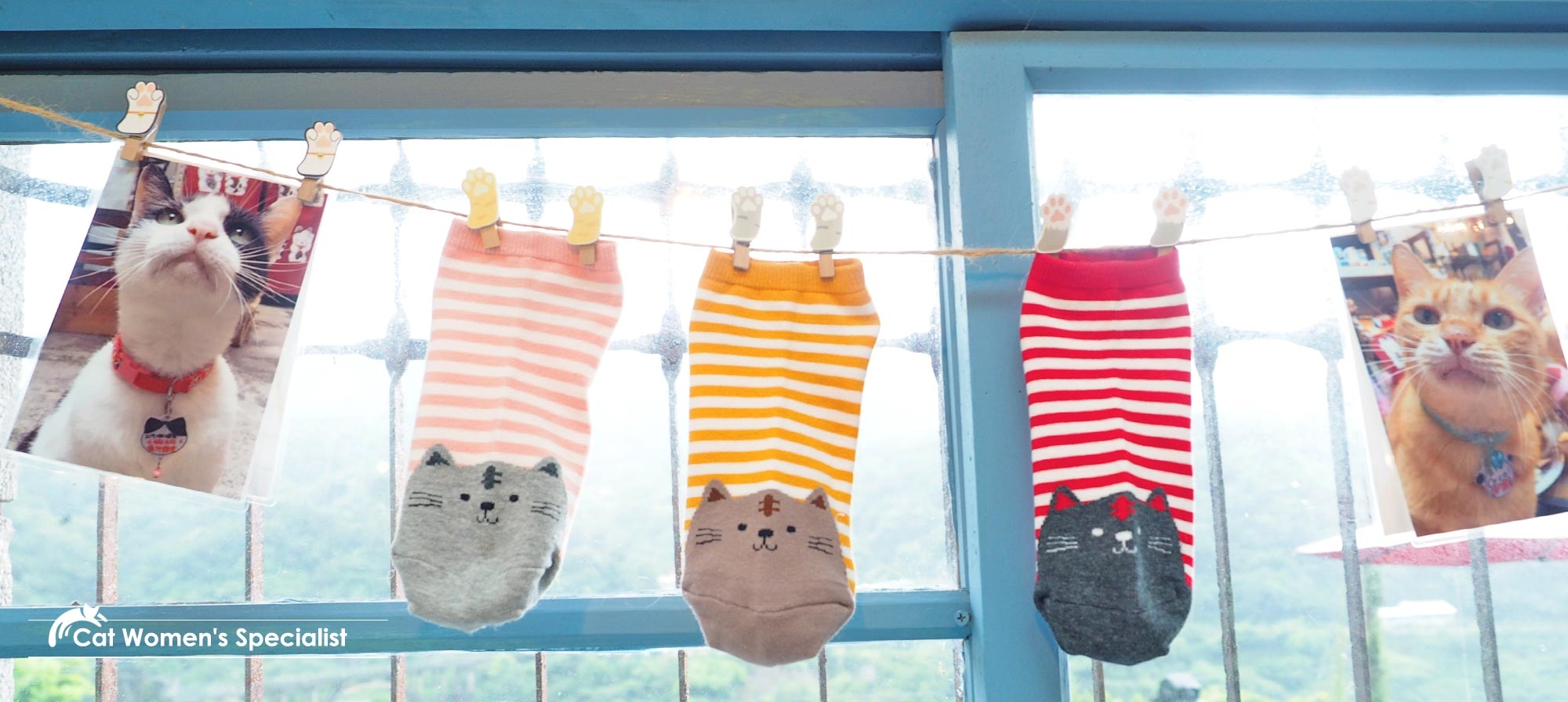 除臭襪除腳臭，除臭襪領導品牌，除臭襪貓系女子專科，上市就完銷的奇蹟，吸貓養貓族最愛的貓系除臭襪。