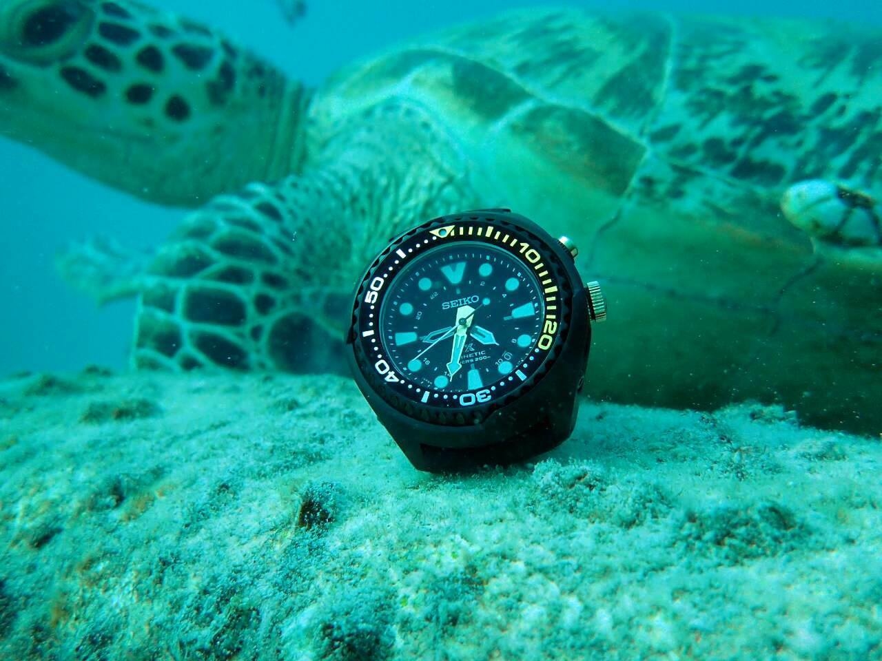 萬年鐘錶 - SEIKO PROSPEX   DIVER SCUBA   人動電能GMT潛水錶 5M85-0AB0K  / SUN045J1   錶徑47.5MM