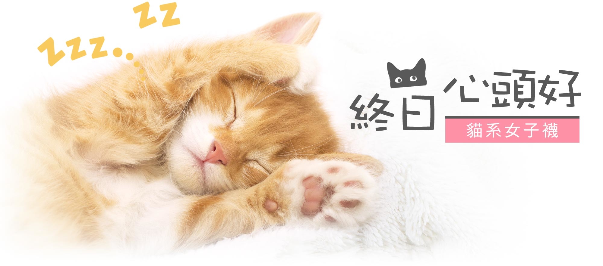 除臭襪除腳臭，貓襪除臭襪，終日 心頭好 貓系女子襪