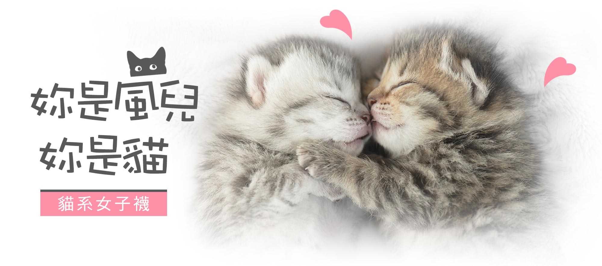 妳是風兒 妳是貓 貓系女子襪