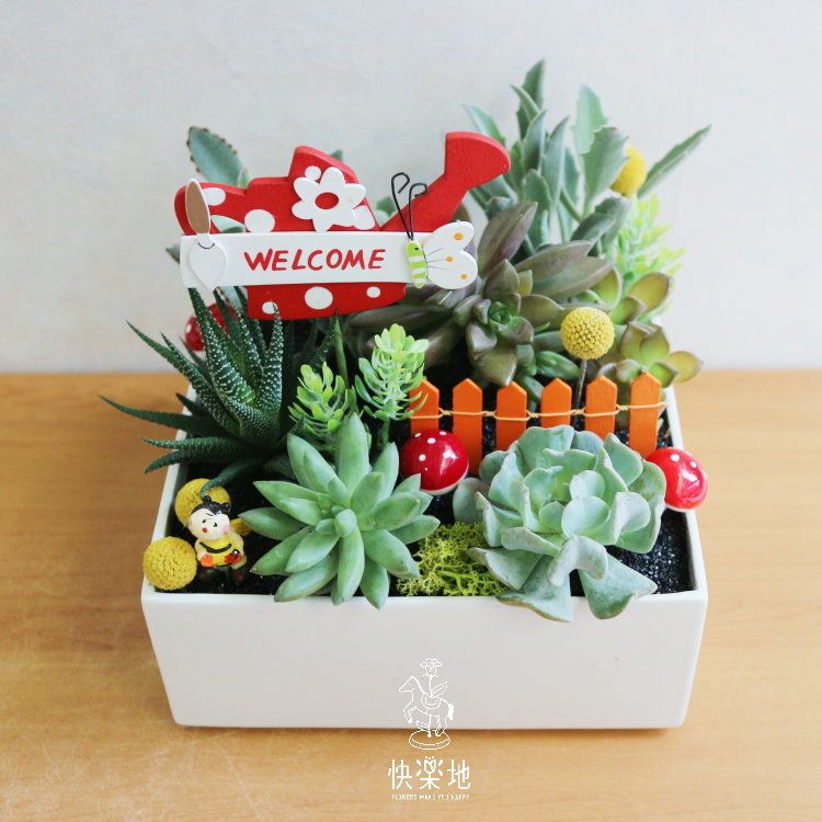 多肉心樂園  GP190202