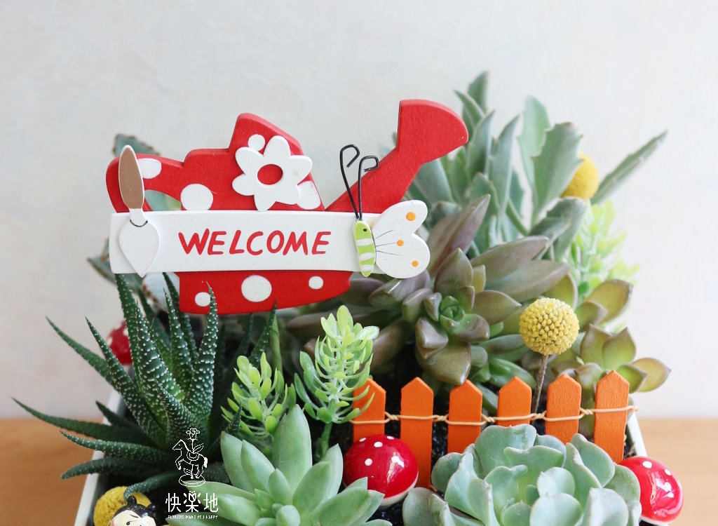 多肉心樂園  GP190202