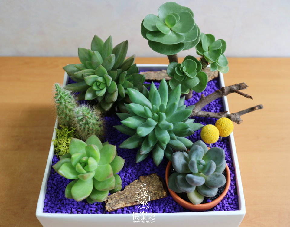 綠能方程式  GP191201