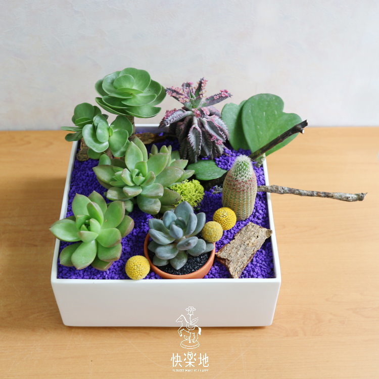 綠能方程式  GP191201