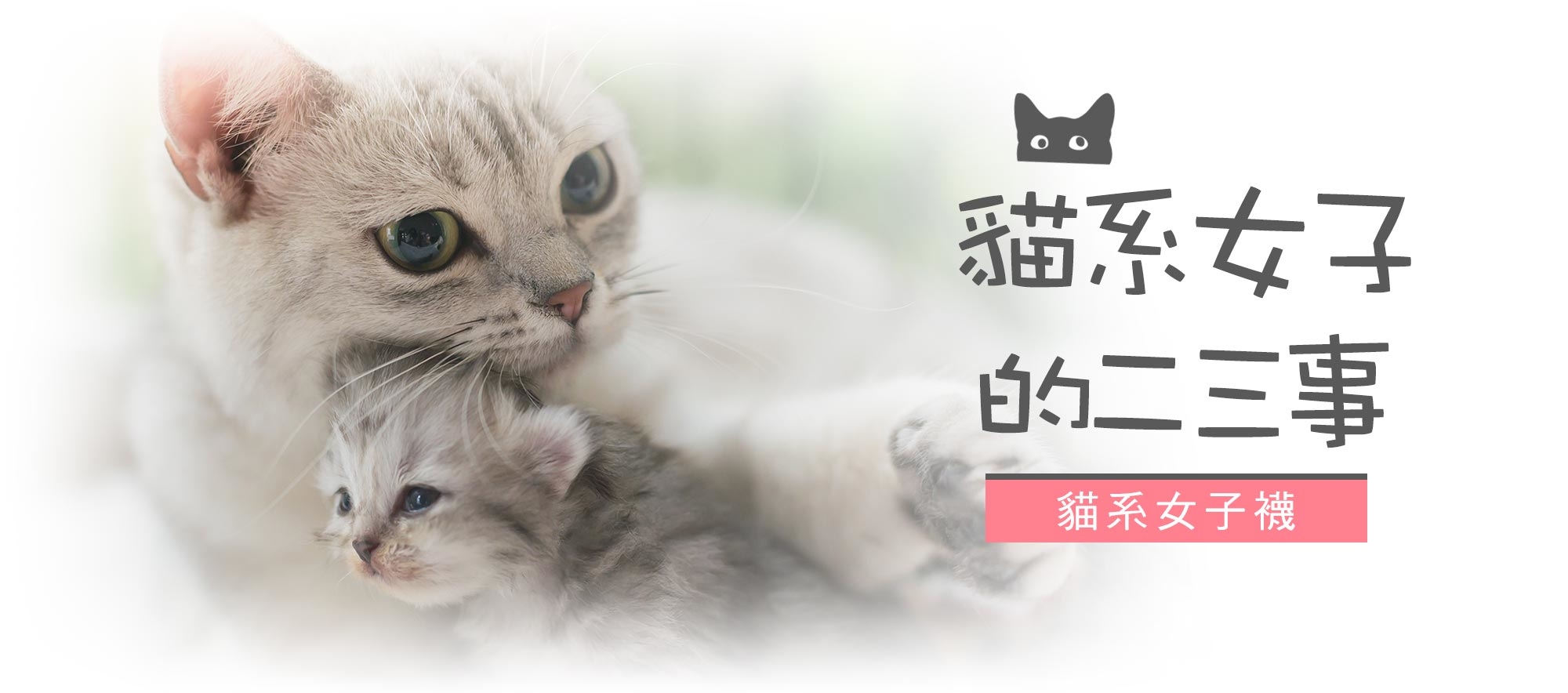 除臭襪除腳臭推薦，貓系女子專科