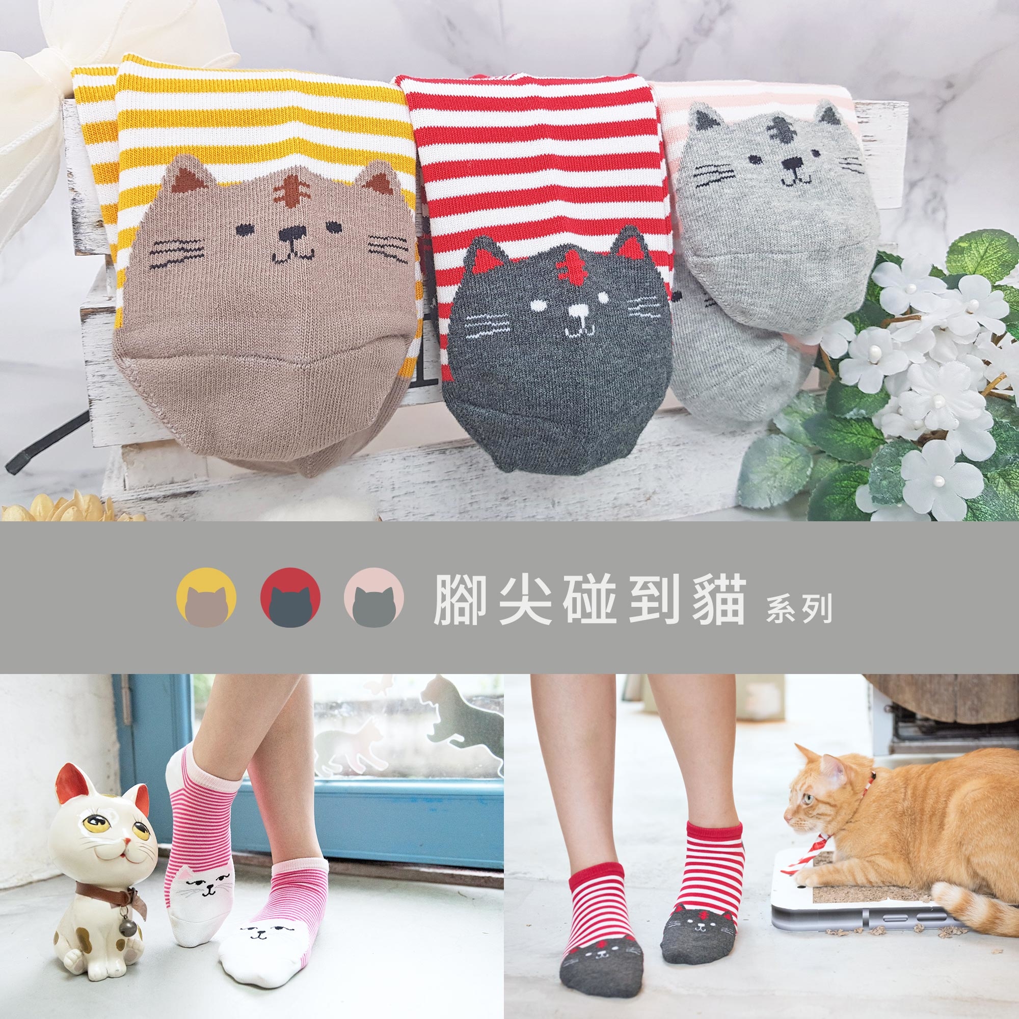 除臭襪除腳臭推薦，貓系女子專科，腳尖碰到貓