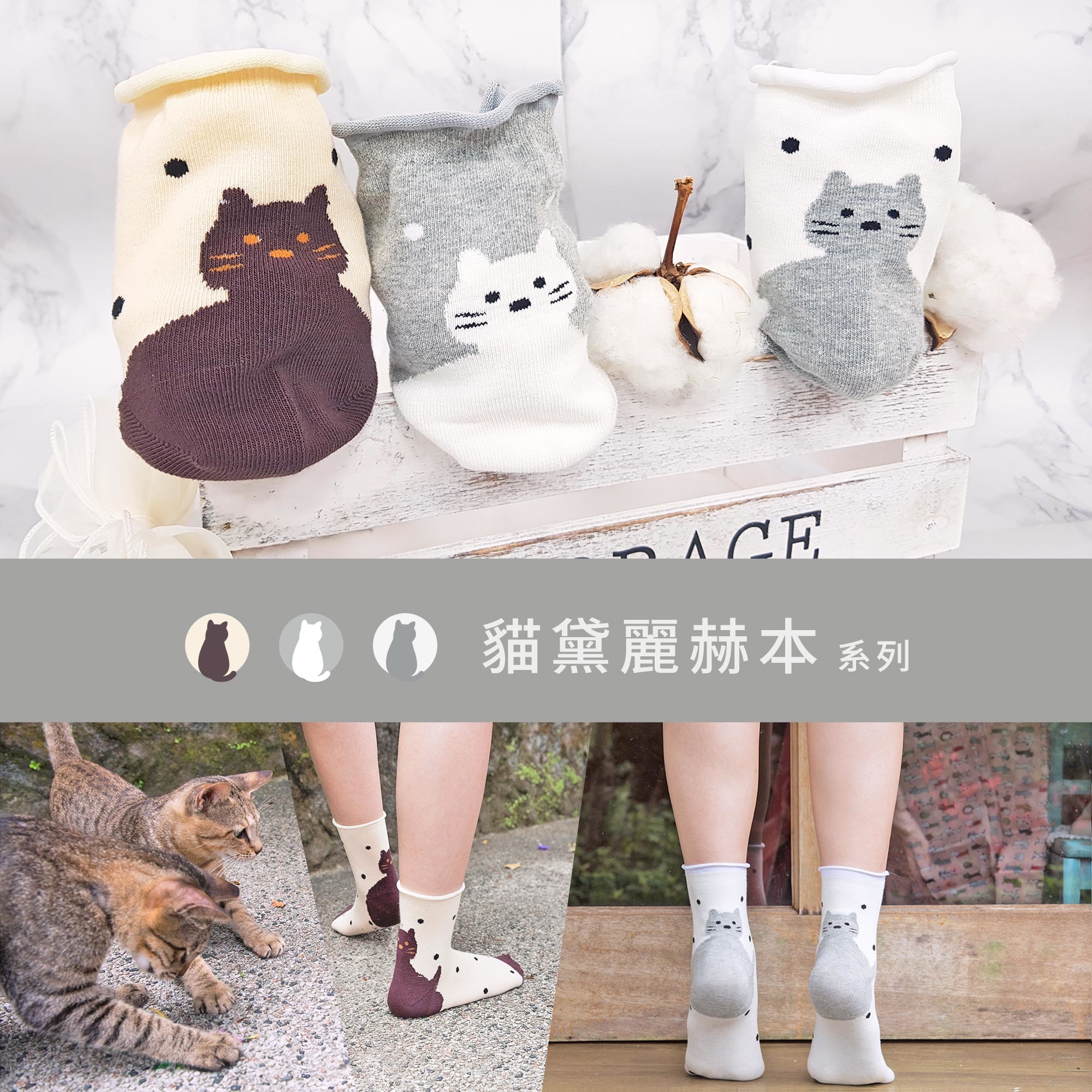 貓黛麗赫本 系列