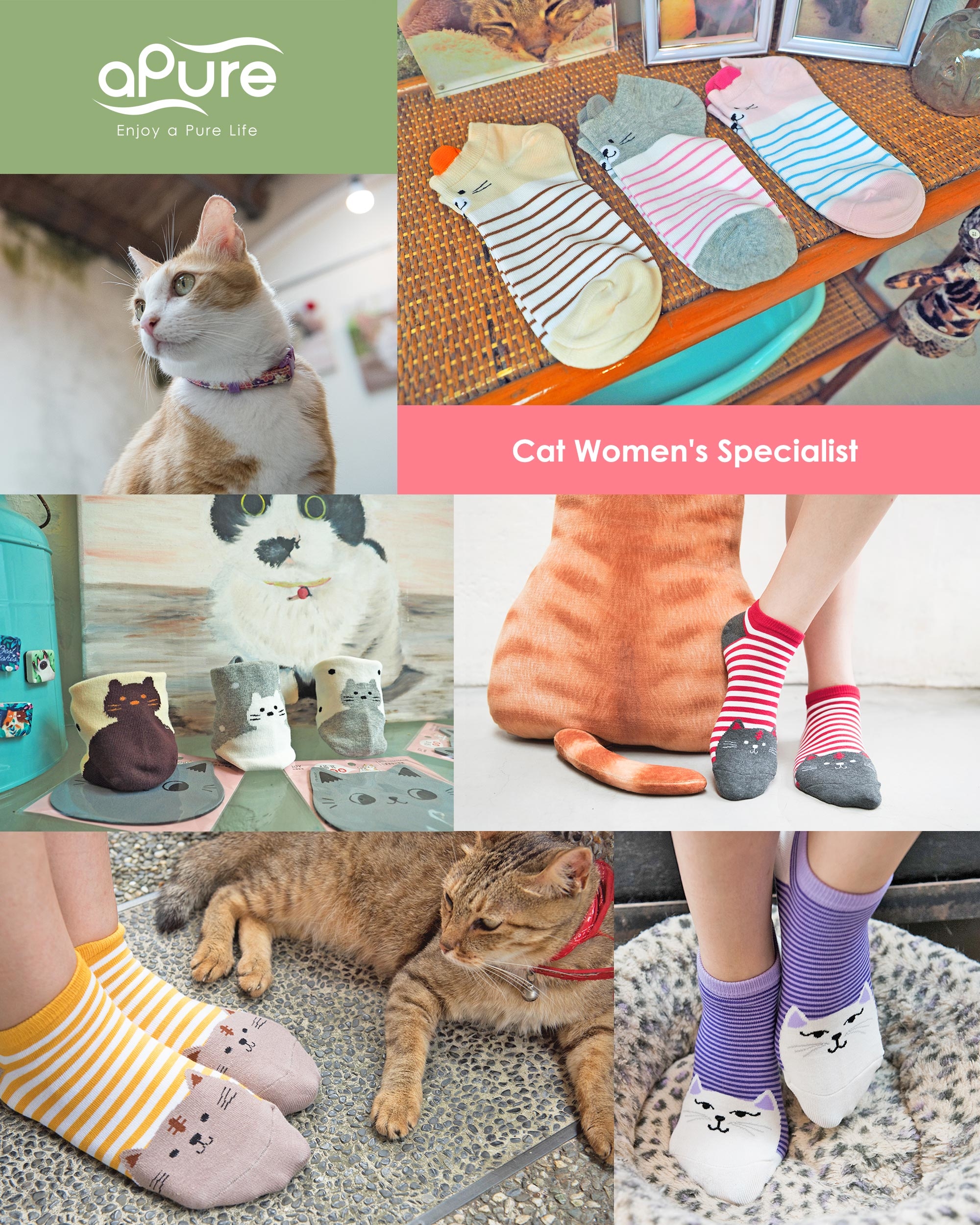 除臭襪除腳臭推薦，貓系女子專科