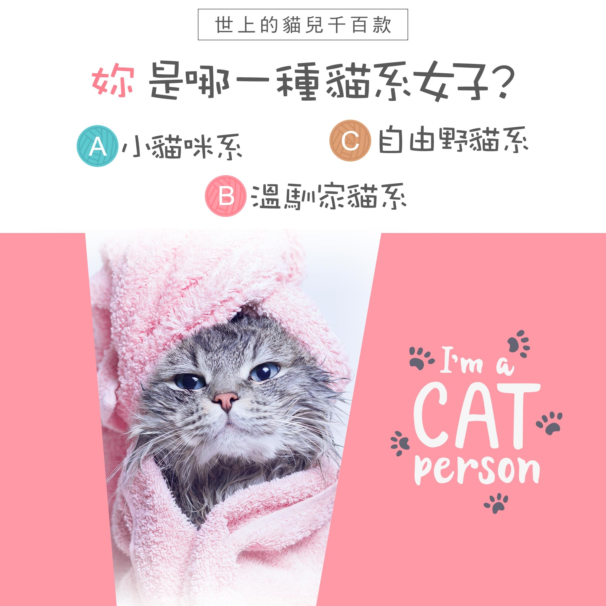 世上的貓兒千百款 妳是哪一種貓系女子? A小貓咪系 B 溫馴家貓系 C自由野貓系