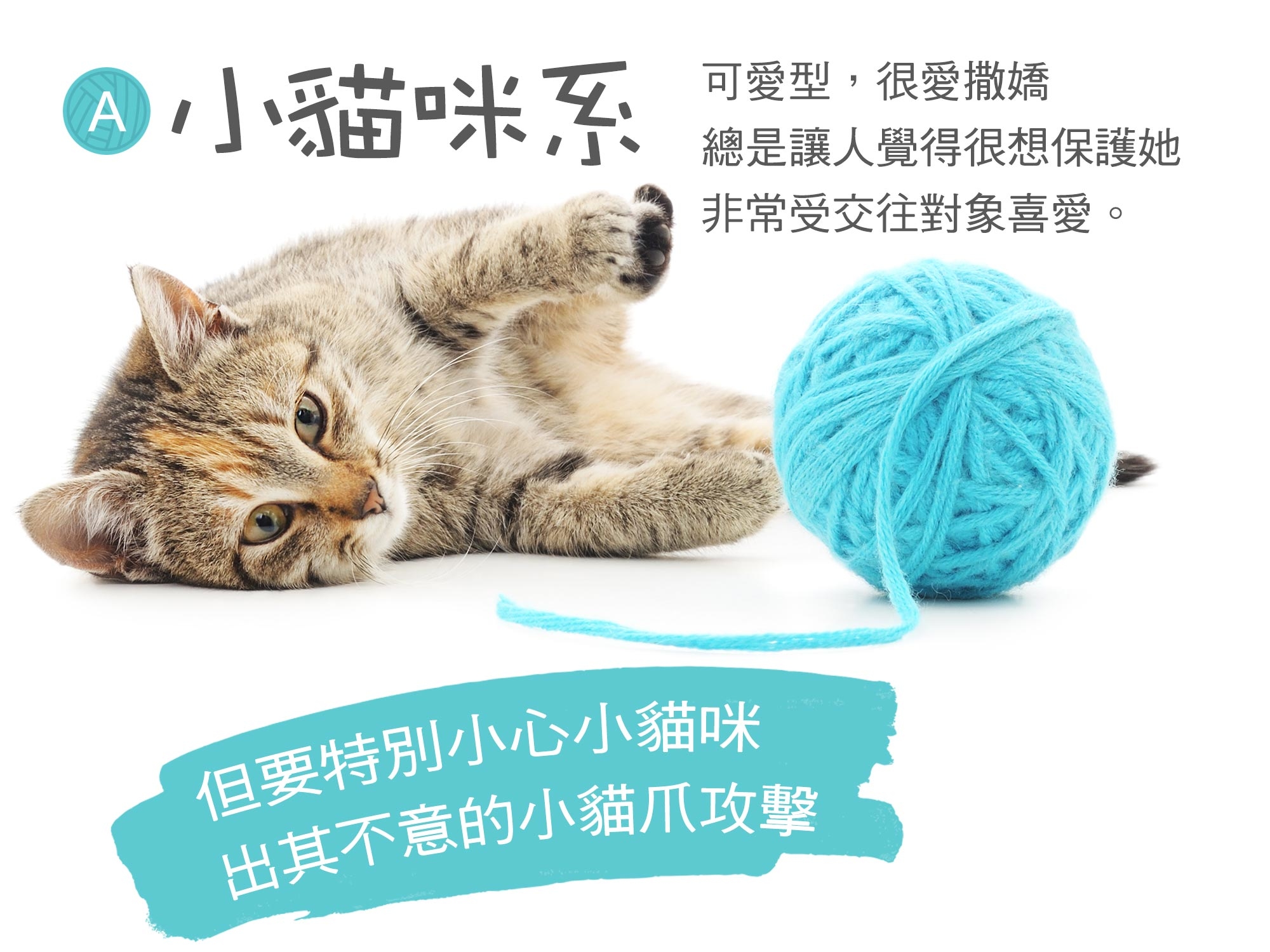 小貓咪系 可愛型,很愛撒嬌 總是讓人覺得很想保護她 非常受交往對象喜愛。