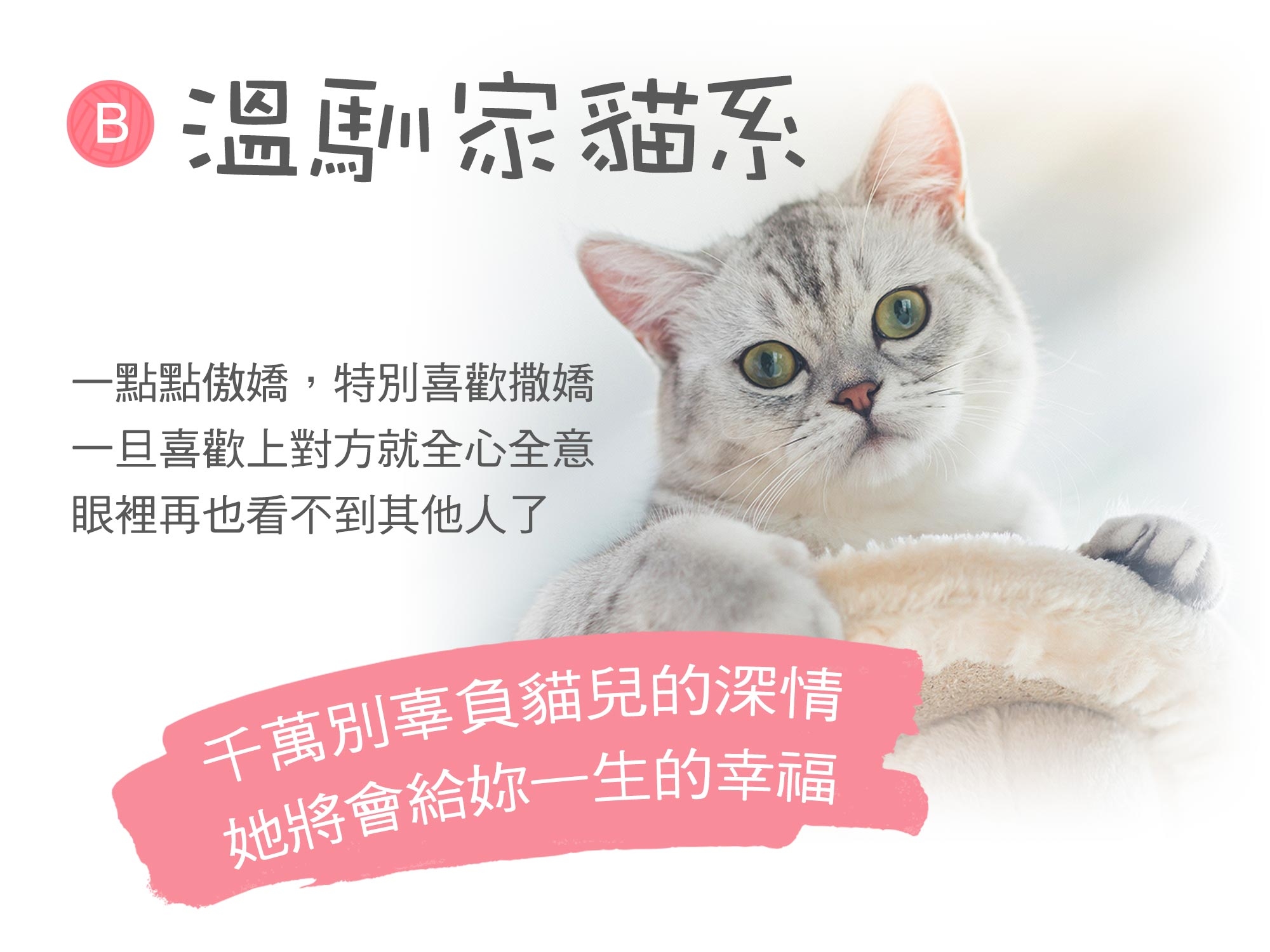 一點點傲嬌,特別喜歡撒嬌 一旦喜歡上對方就全心全意 眼裡再也看不到其他人了 千萬別辜負貓兒的深情 她將會給妳一生的幸福