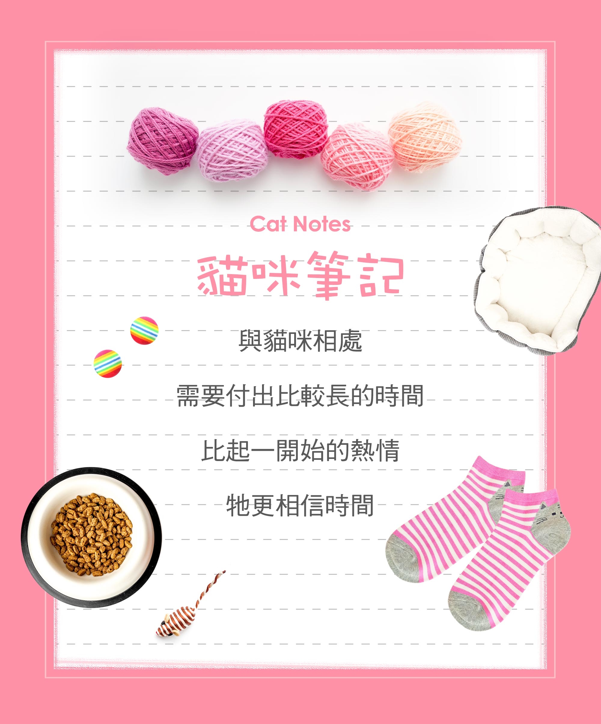 貓咪筆記 與貓咪相處 需要付出比較長的時間 比起一開始的熱情 ----牠更相信時間