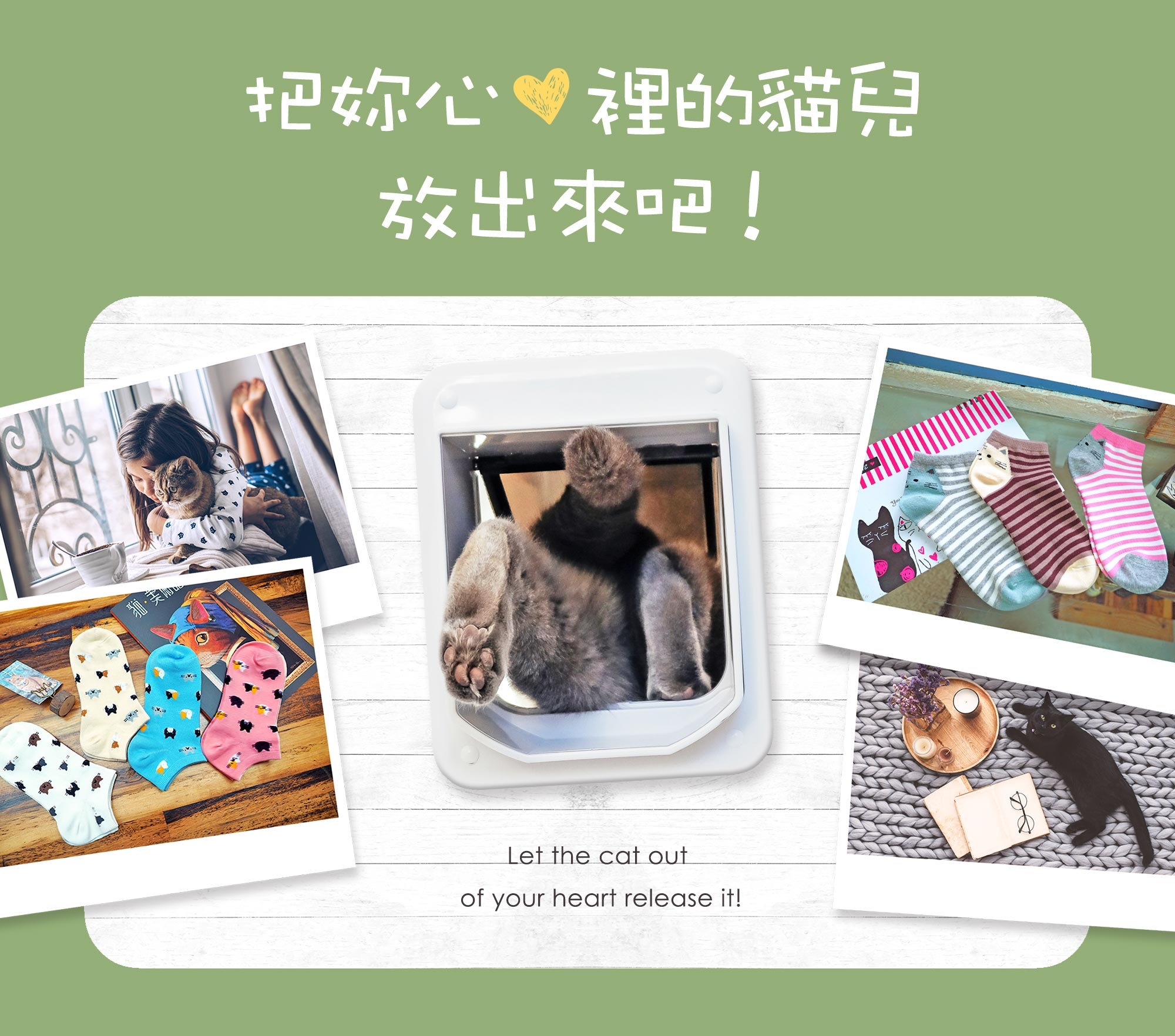 除臭襪除腳臭，貓襪除臭襪，貓系女子專科把妳心 裡的貓兒 放出來吧!