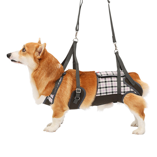 LaLaWalk 中型犬步行輔助帶 (紫色格紋)