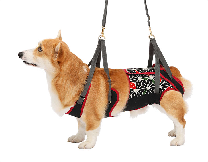 LaLaWalk 中型犬步行輔助帶 (日式菱紋)