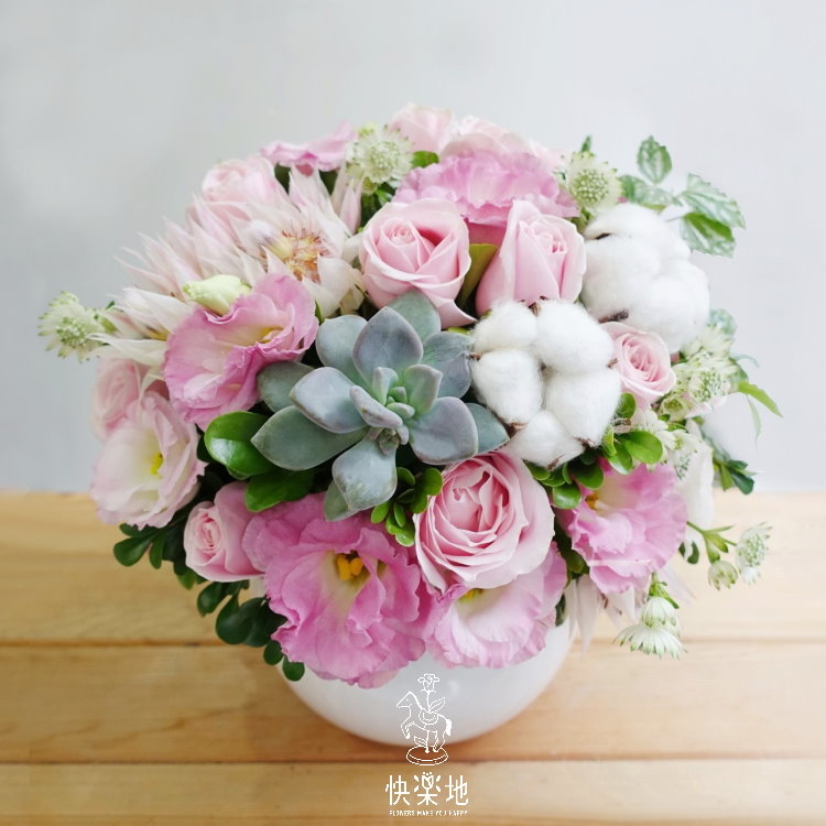 粉棉棉 I盆花  AF190205