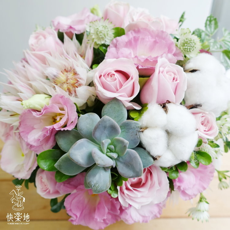 粉棉棉 I盆花  AF190205