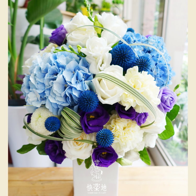 知性與感性 I 盆花   AF190255