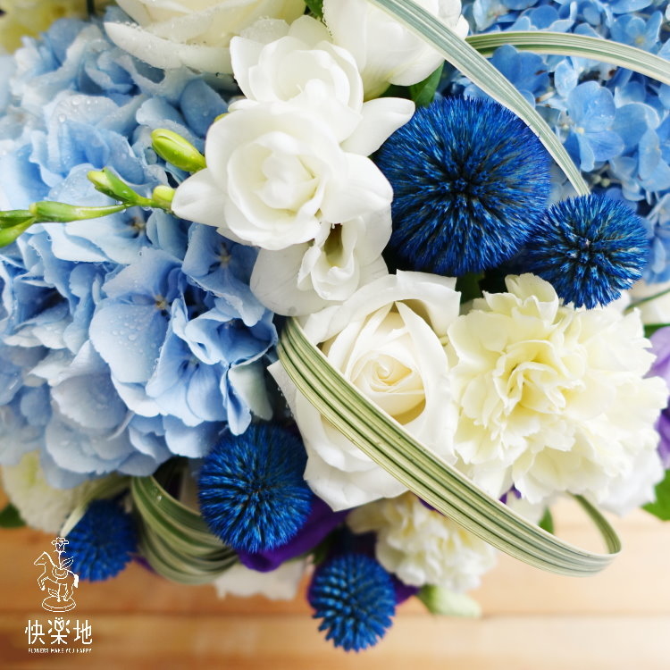 知性與感性 I 盆花   AF190255