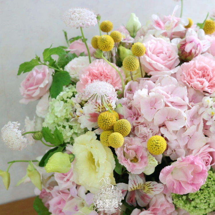 粉晶清香 I 盆花  AF190552