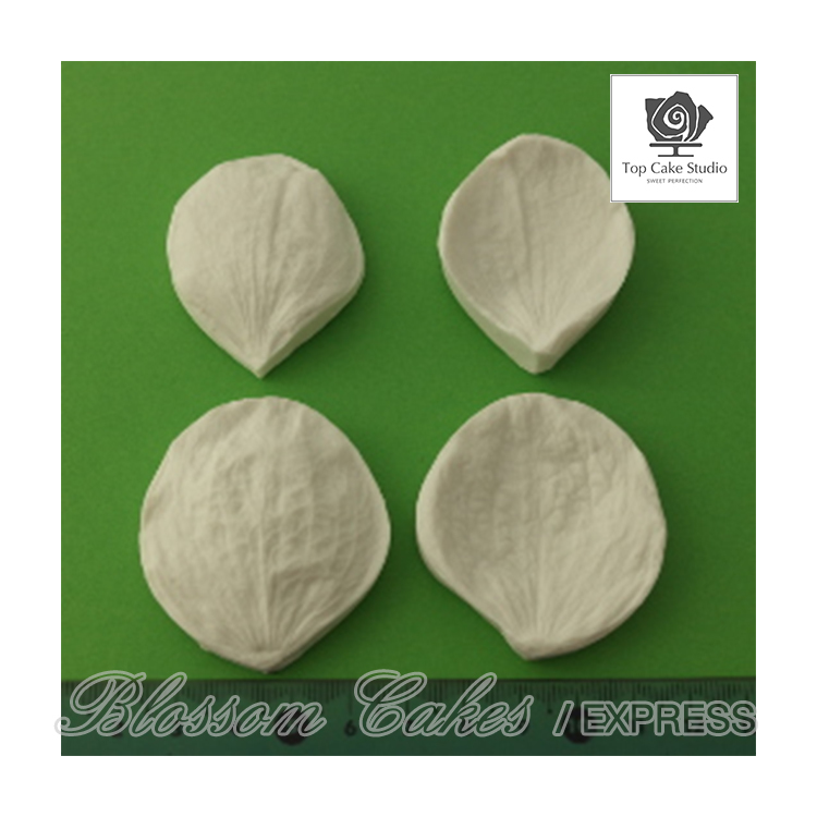 Top Cake "Orchid Vanda" Silicone Petal Veiners