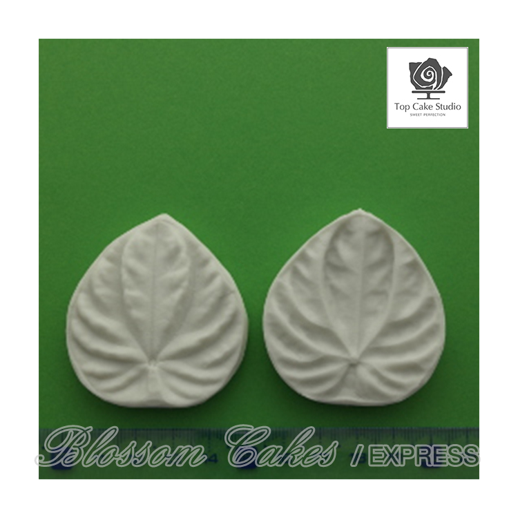 Top Cake "Peperomia Leaf M" Silicone Leaf Veiners