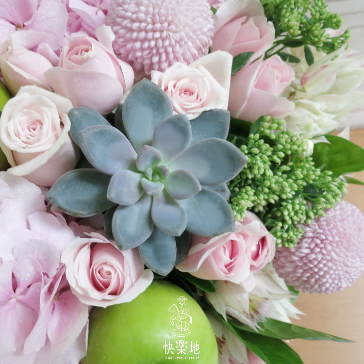 青蘋果樂園 I 盆花  AF190402