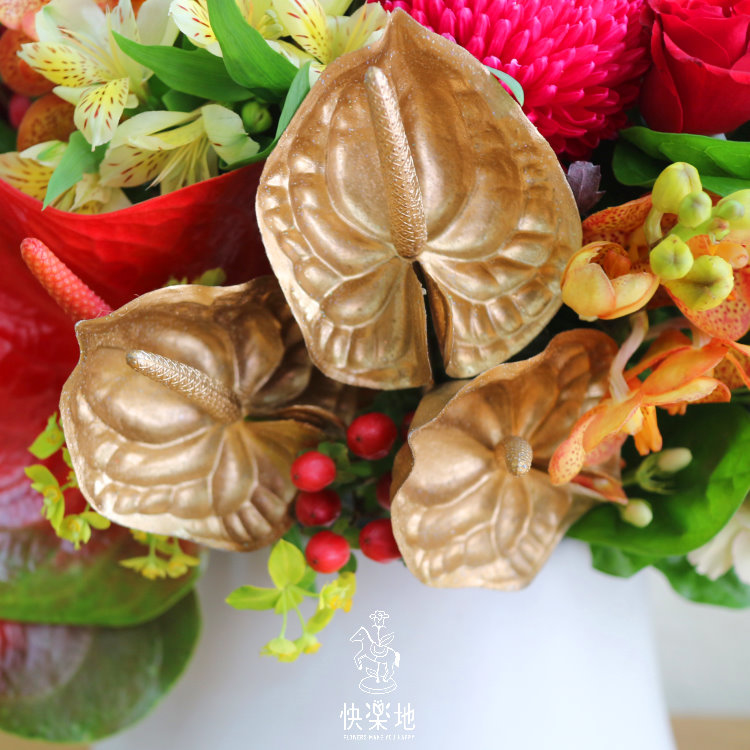 紅燦琉金 I 鮮花盆花  AF190550