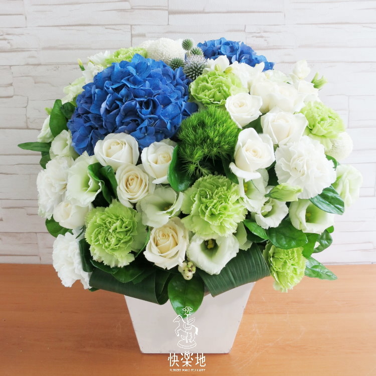 藍天白雲 I 盆花  AF190200