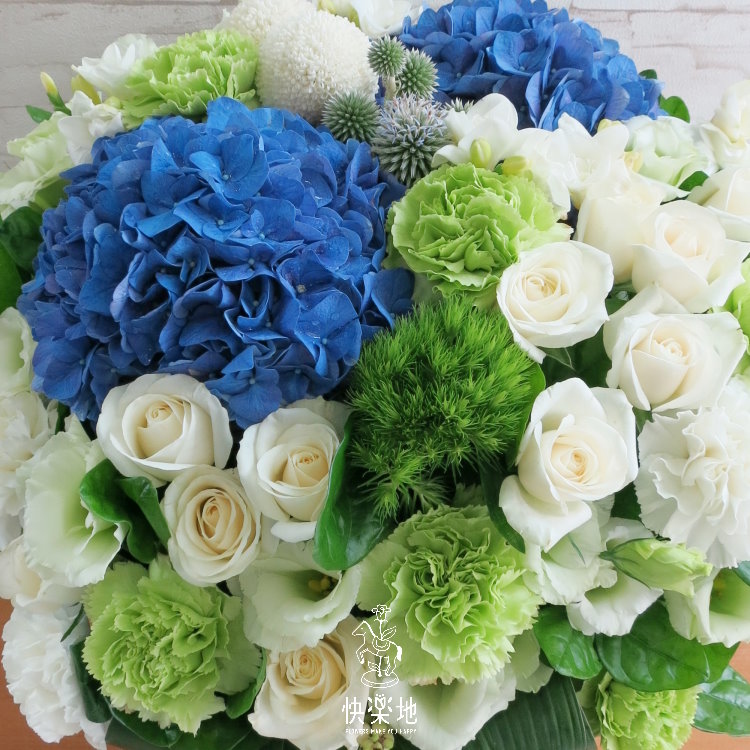 藍天白雲 I 盆花  AF190200