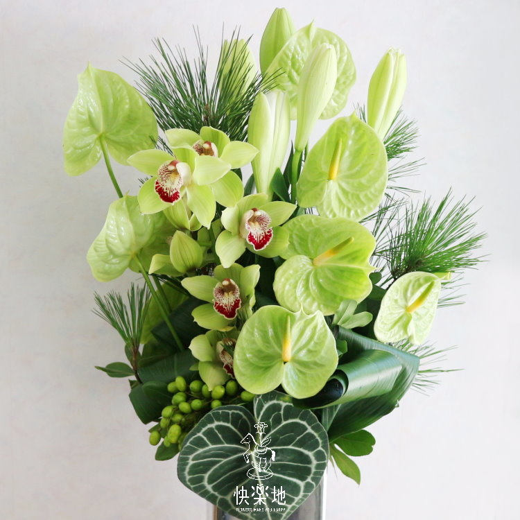 悠然綠意 I 盆花 AF190280