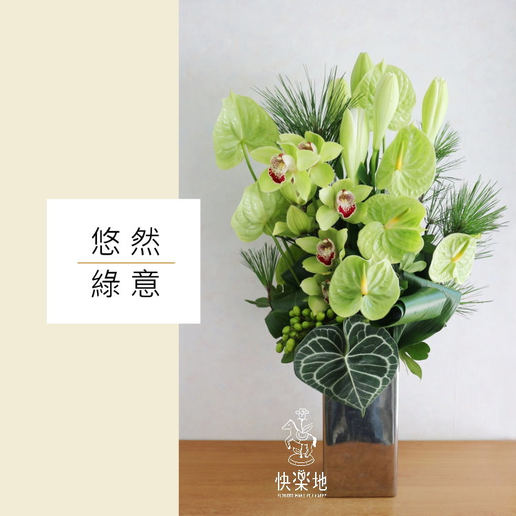 悠然綠意 I 盆花 AF190280