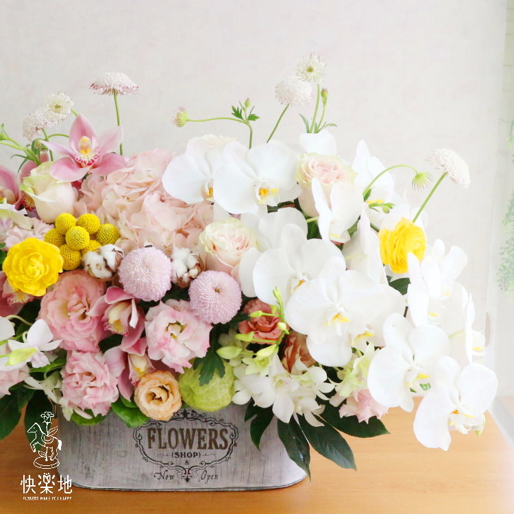 清淡流雲 I 盆花 AF190325