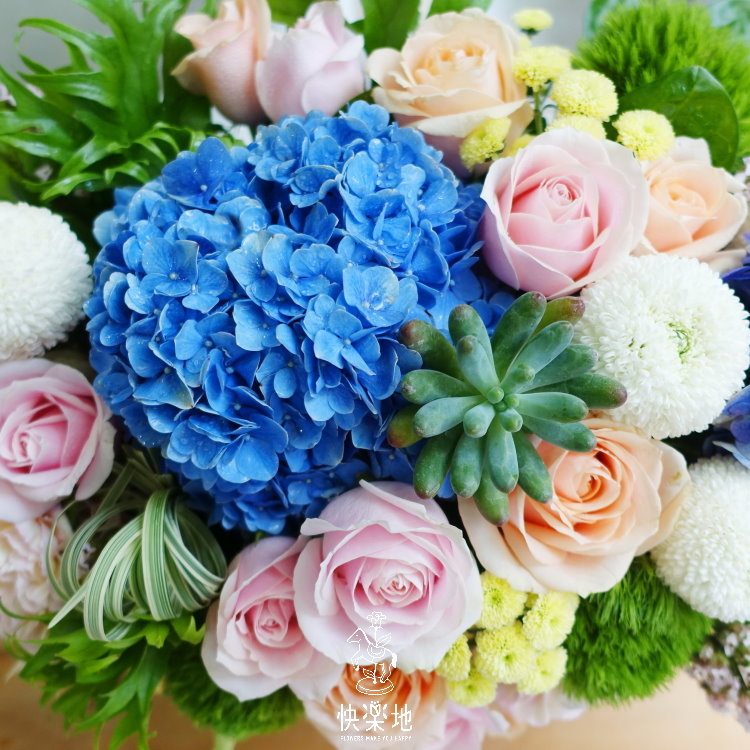 美麗新世界 I 盆花   AF190325