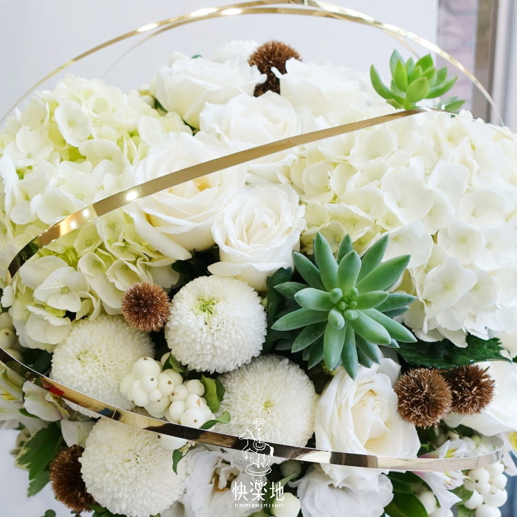 流金歲月 I 盆花  AF190350