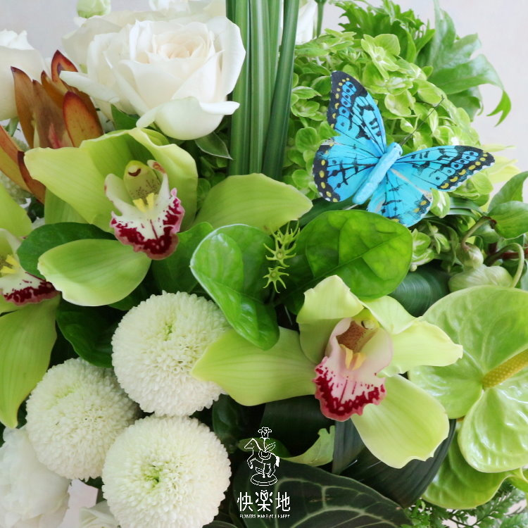 迤邐春光 I 盆花  AF190322