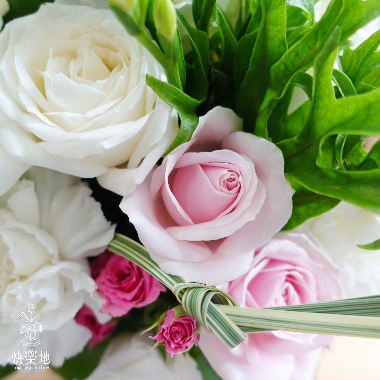 小可愛 I 盆花  AF190227