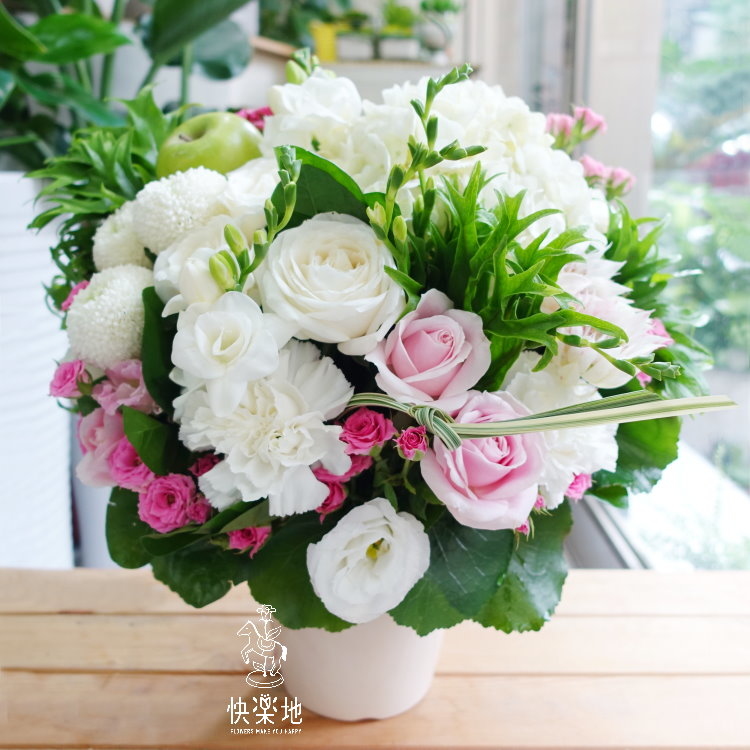 小可愛 I 盆花  AF190227