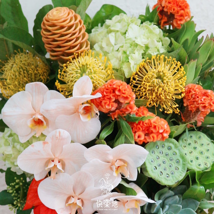 金燦好景 I 盆花  GF190200