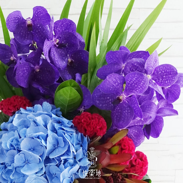 蔚紫藍天  AF190228