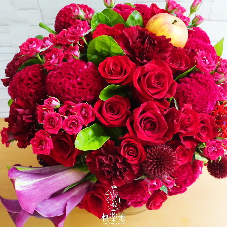 璀璨甜果 I 盆花  AF190400