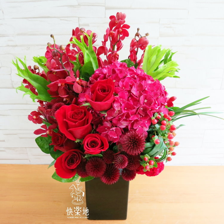 紅光滿盈 I 盆花  AF190263