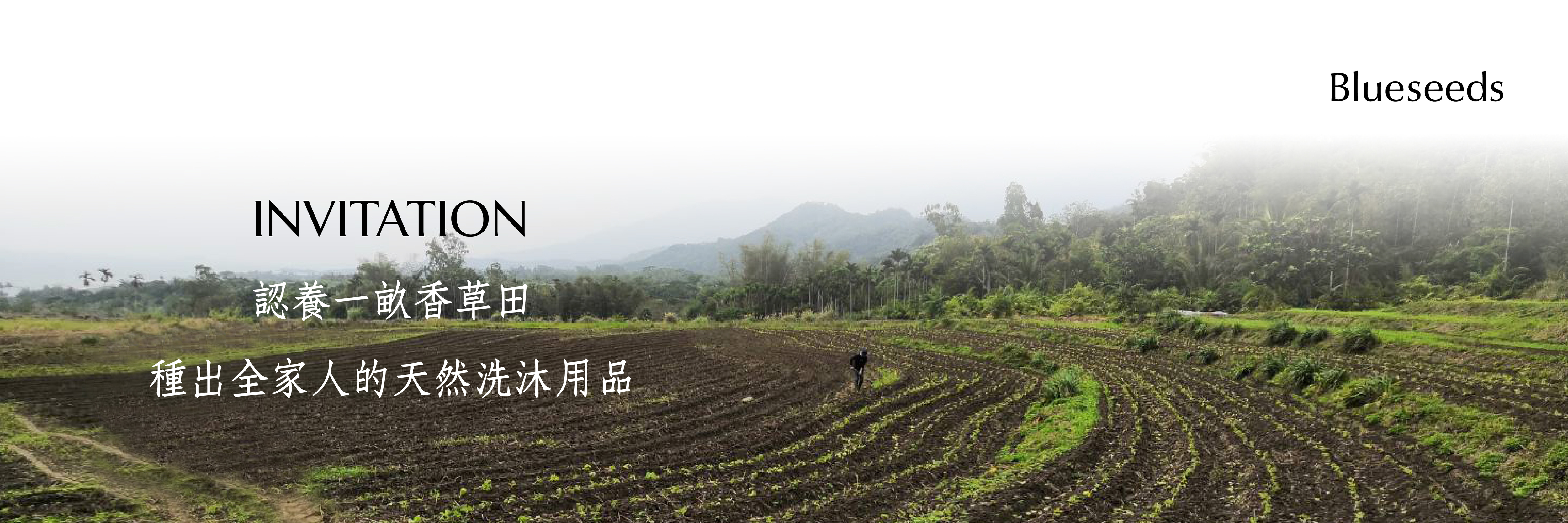 認養一畝香草田