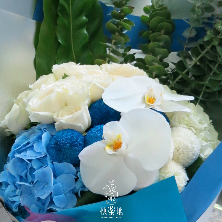 無與倫比的美  BF190280